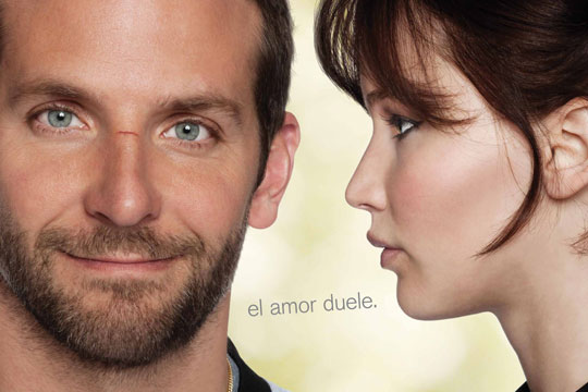 el lado bueno de las cosas